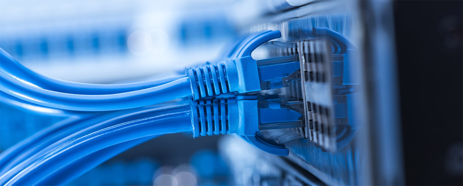 two blue cables